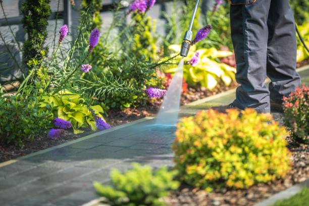 Professional  Pressure Washing Services in Oak Ridge, FL